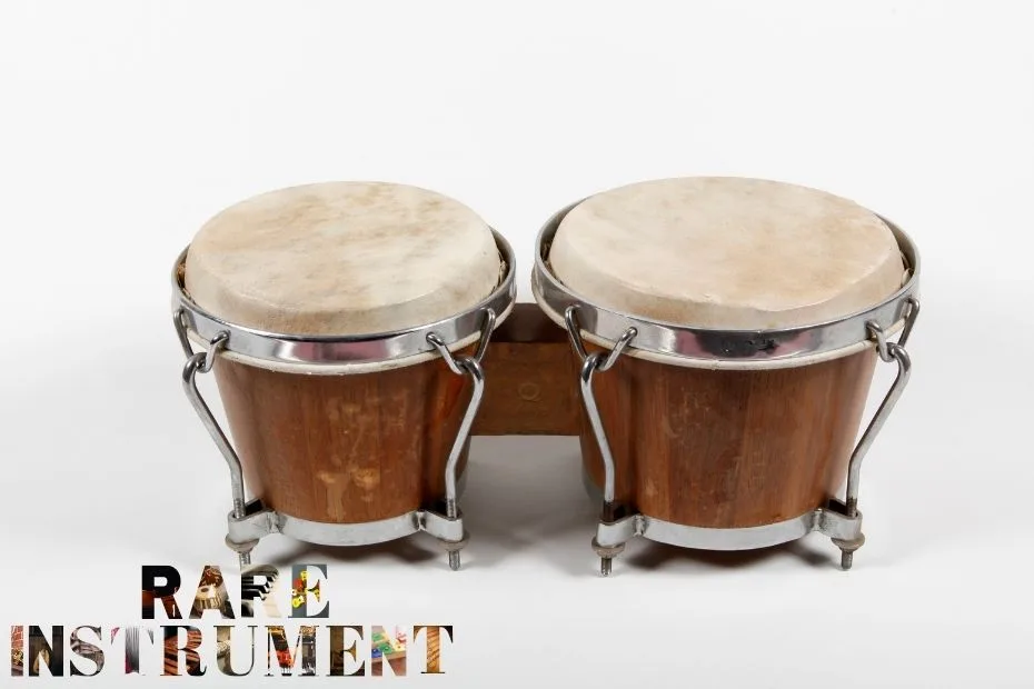 Bongo Drum