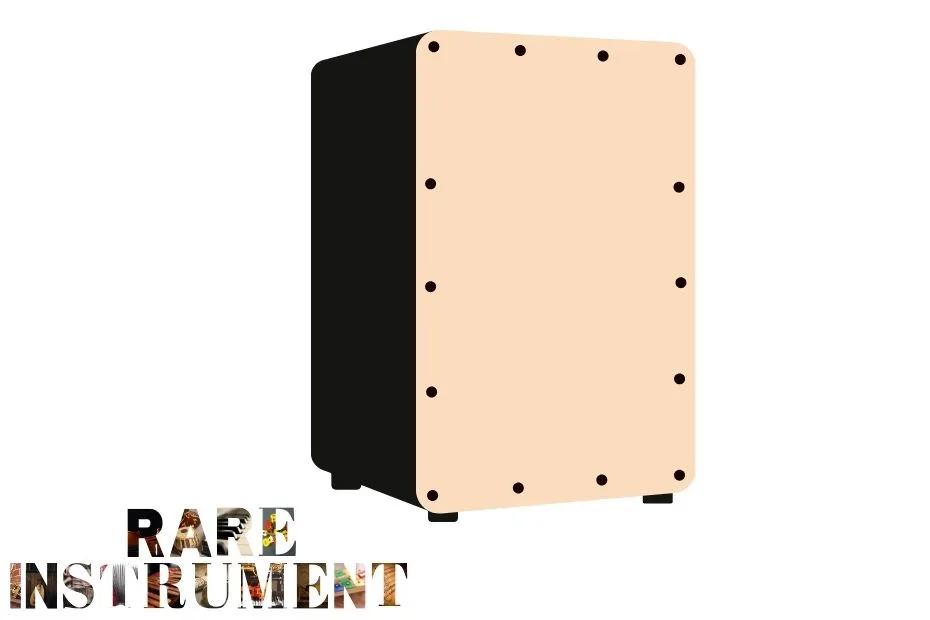 Cajon Professional Help