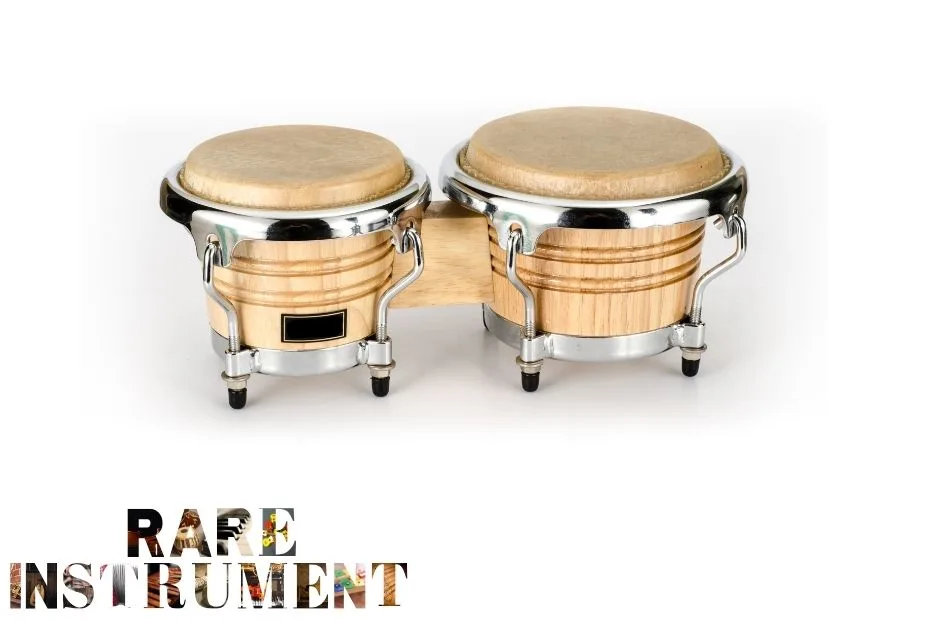 Bongos (2)