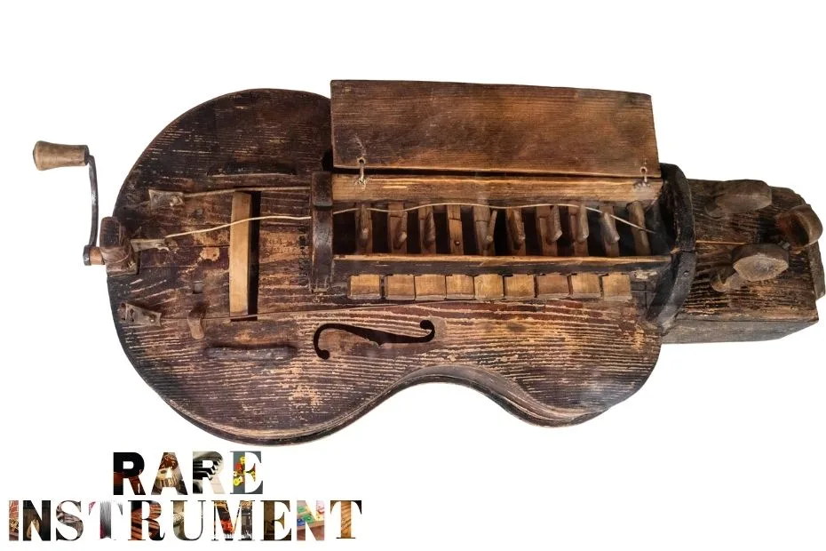 Hurdy-Gurdy (1)