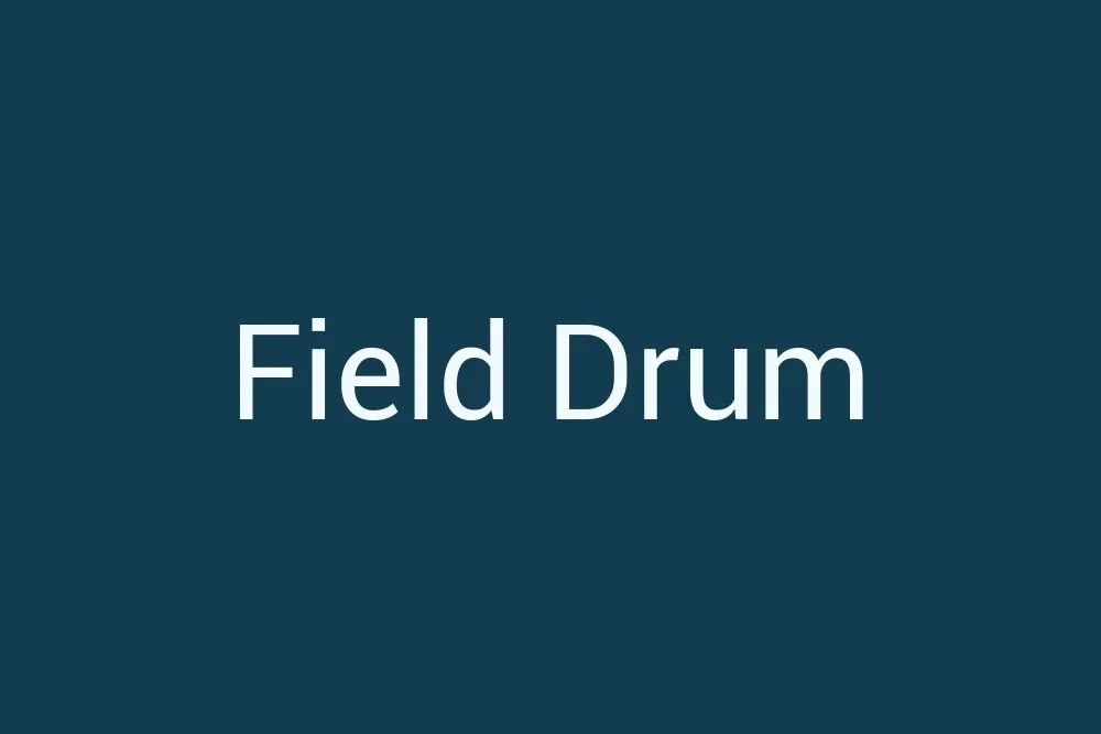field-drum
