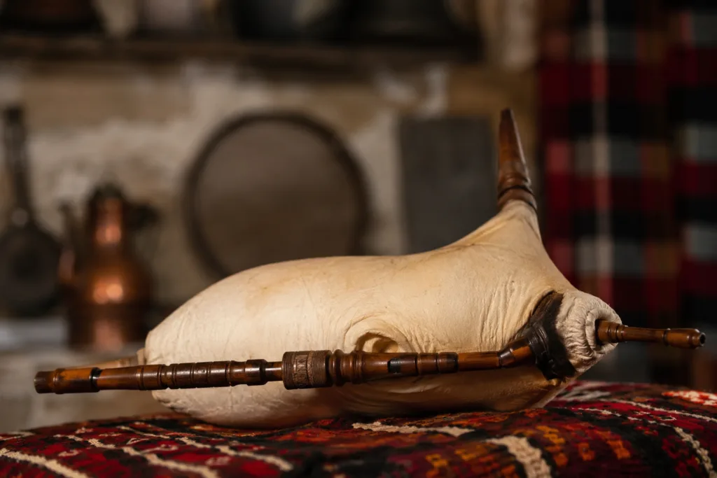 Bulgarian gayda, a traditional bagpipe instrument, showcasing its unique construction and regional design features.